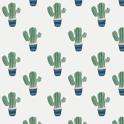 Papel de Parede Infantil Com Lindos Cactos Para Sala e Quarto Infantil