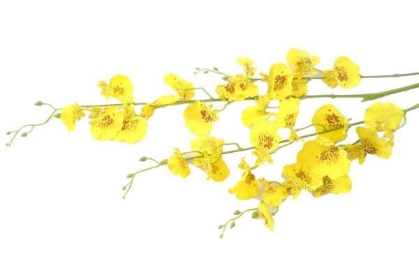 Flor Artificial Orquídeas Chuva De Ouro 5 Galhos Grandes - 4