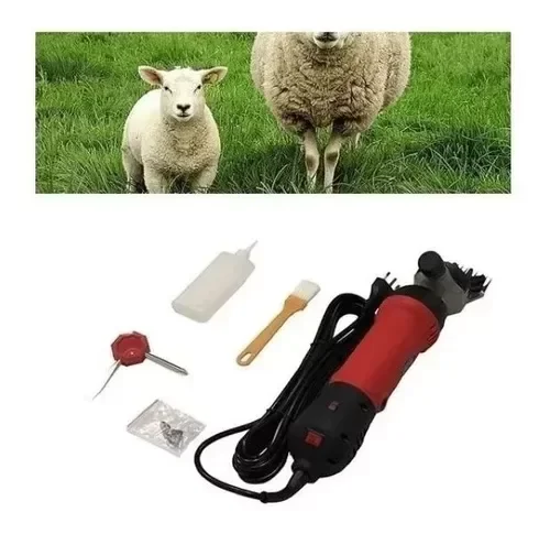 Tosquiadeira Ovinos Equinos Carneiro Ovelha + Tosador Cortar Pelo Cães Animais:220V - 1