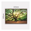 Ver imagem 6 de Quadro Árvore Natureza Carvalho Antigo 153x103 em Canvas