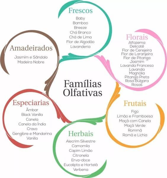 Kit 12 Essências Para Aromatizador Elétrico 10ml Via Aroma - Kit 1 - 11