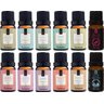 Kit 12 Essências Para Aromatizador Elétrico 10ml Via Aroma - Kit 1 - 1