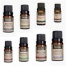 Kit 8 Óleos Essenciais 100% Puro Via Aroma Original Clássicos 10ml Aromaterapia - 1