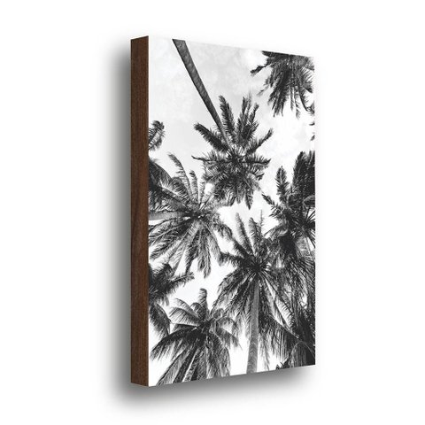 Quadro Decorativo Coqueiros Preto e Branco 40x60cm