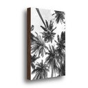 Ver imagem 1 de Quadro Decorativo Coqueiros Preto e Branco 40x60cm