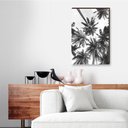 Ver imagem 3 de Quadro Decorativo Coqueiros Preto e Branco 40x60cm