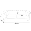 Ver imagem 4 de Sofá 3 Lugares Sala de Estar Living 220cm Soho M03 Couríssimo Whisky - Lyam Decor