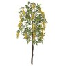 Planta Artificial Arvore Wisteria Japonesa Grande - 1