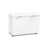 Freezer Horizontal Electrolux 400 Litros 2 Portas Branco H440 – 220 Volts - 2