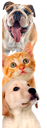 Ver imagem 1 de Adesivo de Porta Cão e Gato 75X210