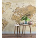 Ver imagem 3 de Papel de Parede Mapa Mundi Demográfico Para Escritório e Sala