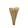 Espetos de Bambu para Churrasco Nc de 50cm X 5.5mm C/1000un - 1