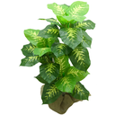Ver imagem 1 de Planta Folhagem Comigo Ninguém Pode Artificial P/vaso Decorativo