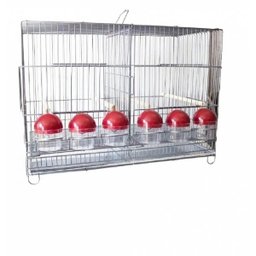 Gaiola para Canário Belga com Divisória e 6 Comedouros - 2