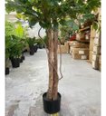 Ver imagem 5 de Árvore Artificial para Sala Planta Ficus Lyrata com 180cm