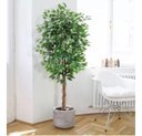 Ver imagem 1 de Árvore Artificial para Sala Planta Ficus Lyrata com 180cm