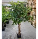 Ver imagem 3 de Árvore Artificial para Sala Planta Ficus Lyrata com 180cm