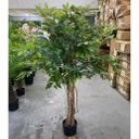 Ver imagem 3 de Árvore Artificial para Sala Planta Ficus Lyrata com 180cm