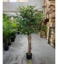 Ver imagem 6 de Árvore Artificial para Sala Planta Ficus Lyrata com 180cm