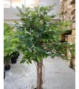 Ver imagem 4 de Árvore Artificial para Sala Planta Ficus Lyrata com 180cm