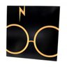 Quadro Harry Potter Cicatriz - 20x20cm - 1