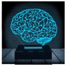 Luminária Led 3d | Cérebro Neurologista Médico | Abajur 16 Cores + Controle - 5