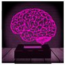 Luminária Led 3d | Cérebro Neurologista Médico | Abajur 16 Cores + Controle - 6