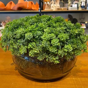 Arranjo Centro de Mesa Vaso Incolor com Verdinho Folhagem Completo Decore Fácil Shop