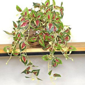 Planta Artificial Realista Coleus Arranjo Pronto Vaso de Vidro