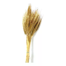Buque Trigo Dourado Desidratado Casamento Decoração Arranjo - 3