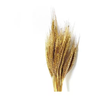 Buque Trigo Dourado Desidratado Casamento Decoração Arranjo - 1