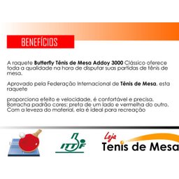 Raquete Butterfly Classica Profissional Addoy 3000 - FL (Côncavo) - 3