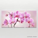 Ver imagem 3 de Quadro Decorativo Flores Orquídeas Rosa para Sala Recepção Conjunto 3 Telas em Canvas