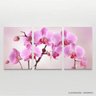 Quadro Decorativo Flores Orquídeas Rosa para Sala Recepção Conjunto 3 Telas em Canvas - 3