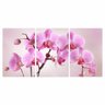 Quadro Decorativo Flores Orquídeas Rosa para Sala Recepção Conjunto 3 Telas em Canvas - 2