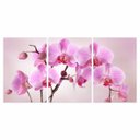 Ver imagem 2 de Quadro Decorativo Flores Orquídeas Rosa para Sala Recepção Conjunto 3 Telas em Canvas