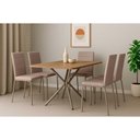 Ver imagem 1 de Conjunto: Mesa Sala Jantar Loire C/ Tampo de Madeira 1.60cm + 6 Cadeiras Amsterdã Niquel/corano