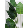 Árvore Planta Verde Palmeira Ravenala 190cm Bananeira Real - 4