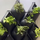 Ver imagem 6 de Vaso Gota de Parede 35 (5l) Cor Chumbo Japi