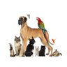 Papel de Parede Pets Cão Gato Papagaio 3d Anm111 - 2