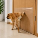 Ver imagem 4 de Adesivo Protetor para Sofá e Móveis Anti Arranhões de Gatos e Cães Rolo 3 Metros