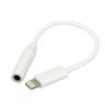 Adaptador para Fone de Ouvido iPhone e iPad - 1