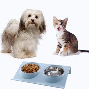 Comedouro Duplo para Pet Gatos e Cães Pequenos - 2