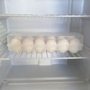Ver imagem 7 de Organizador de Geladeira Porta Ovos Com Tampa 12 Un Plástico Sanremo