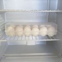 Ver imagem 7 de Organizador de Geladeira Porta Ovos com Tampa 12 un Plástico Sanremo