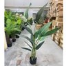 Planta Artificial Strelítzia Árvore Grande Decoração com 1.80m - 6