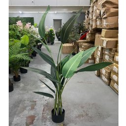 Planta Artificial Strelítzia Árvore Grande Decoração com 1.80m - 4