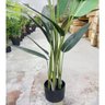 Planta Artificial Strelítzia Árvore Grande Decoração com 1.80m - 5
