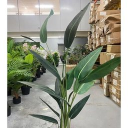 Planta Artificial Strelítzia Árvore Grande Decoração com 1.80m - 2