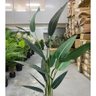 Planta Artificial Strelítzia Árvore Grande Decoração com 1.80m - 2